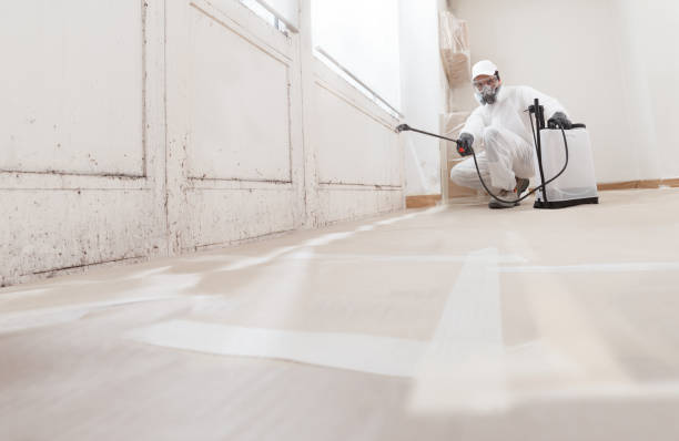 24/7 Emergency Crawl Space Mold Remediation experts in Georgetown, GA
