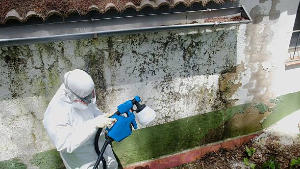 Top rated local Crawl Space Mold Remediation specialists in Georgetown, GA